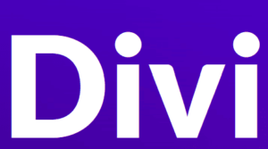 Divi Page Builder Logo
