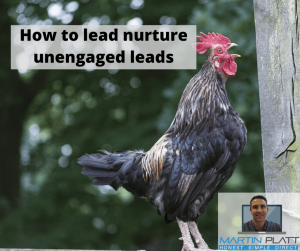 How to lead nurture unengaged leads