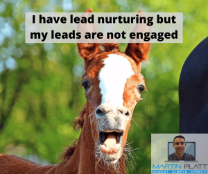 I have lead nurturing but my leads are not engaged